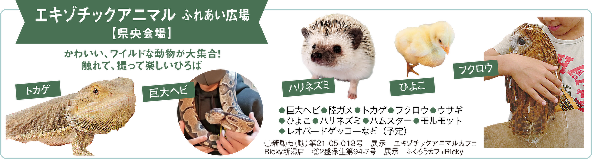 エキゾチックアニマル